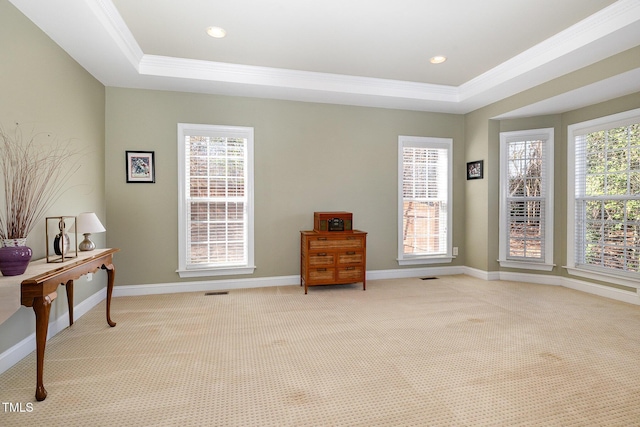 interior space featuring ornamental molding, light colored carpet, and a raised ceiling