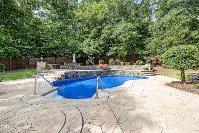 view of pool with a patio