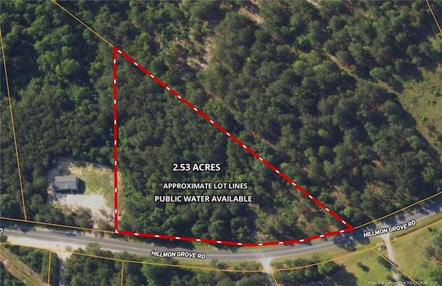 TBD Hillmon Grove Rd, Cameron NC, 28326 land for sale