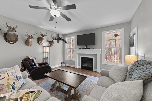 living room with ceiling fan and light hardwood / wood-style flooring