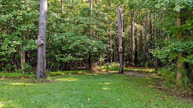 46 Trusting Ln, Middlesex, NC 27557 - photo 10