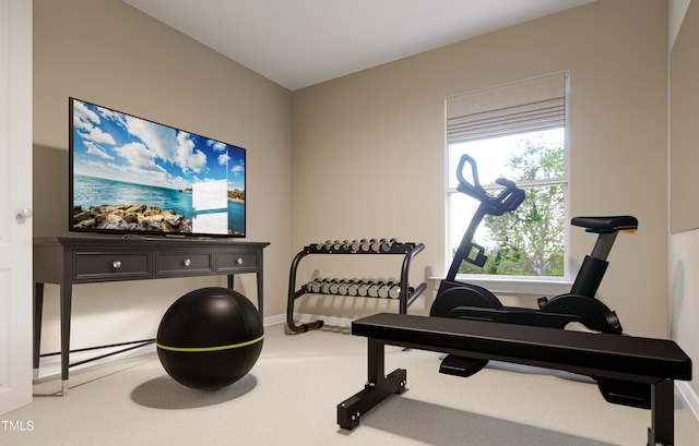 workout room featuring carpet flooring