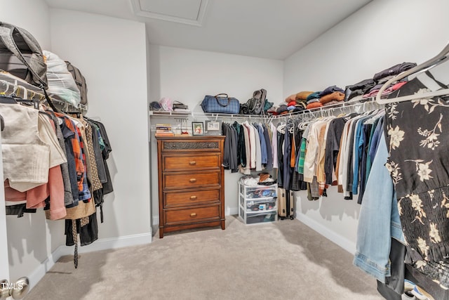 spacious closet featuring attic access and carpet flooring