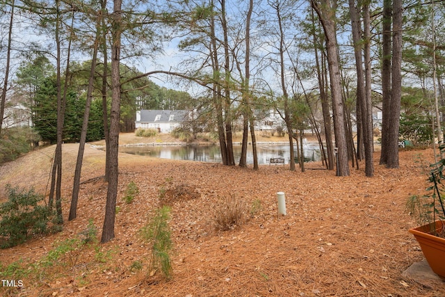 view of yard featuring a water view