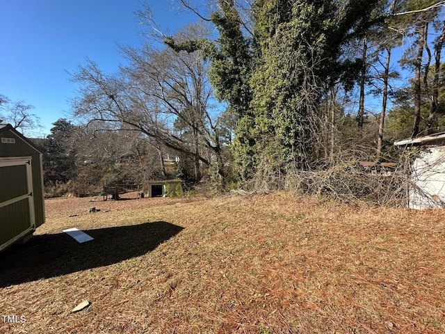 view of yard with a shed