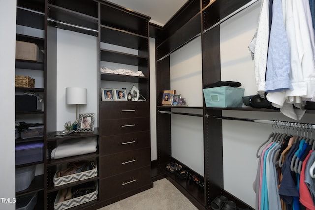 978 Bonanza Ln Unit 163, Mebane, NC 27302 - walk in closet with light colored carpet