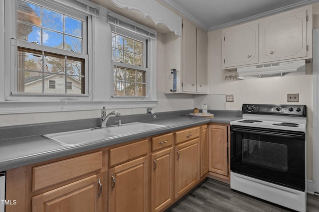 kitchen featuring crown molding, sink, electric range, and dark hardwood / wood-style floors