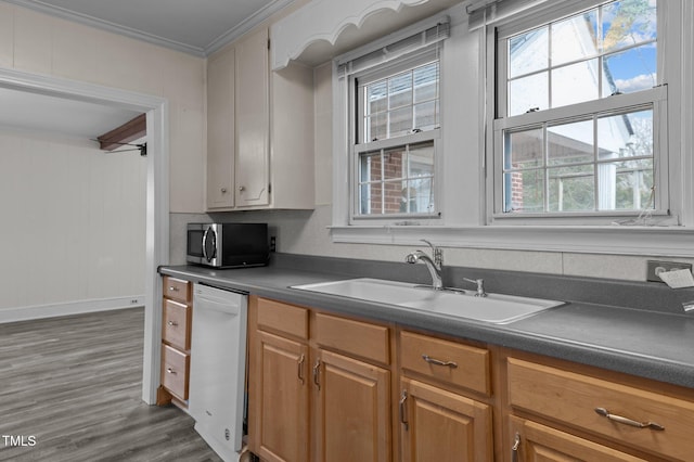 kitchen featuring ornamental molding, white dishwasher, dark hardwood / wood-style flooring, and sink