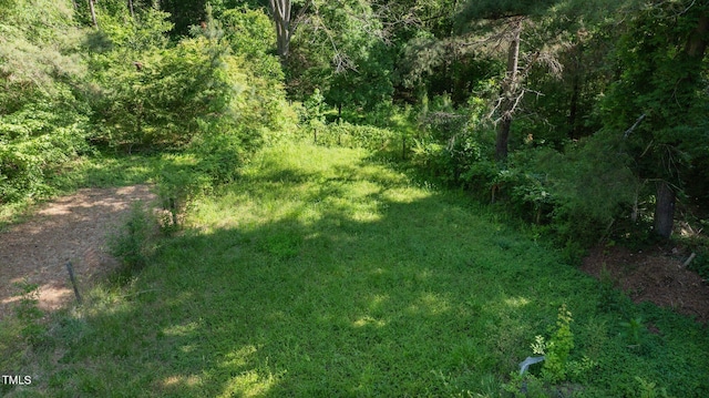 801 Williamsboro St, Oxford, NC 27565 - view of nature with a view of trees