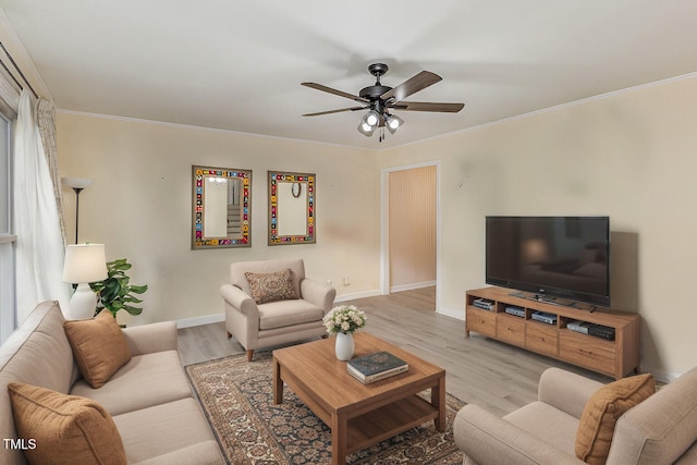 living room featuring ceiling fan, ornamental molding, and light wood-type flooring