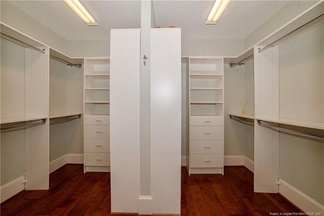 spacious closet featuring dark wood finished floors