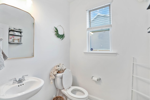 bathroom featuring sink and toilet