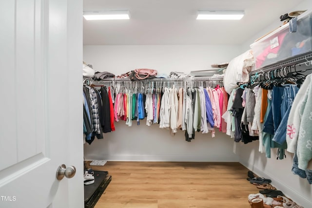 spacious closet featuring wood-type flooring