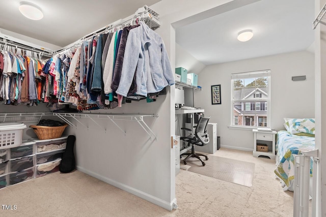 spacious closet with light colored carpet