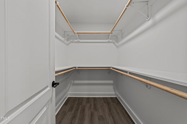 spacious closet featuring dark hardwood / wood-style floors