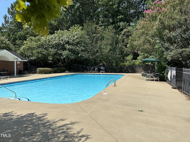 view of pool with a patio area