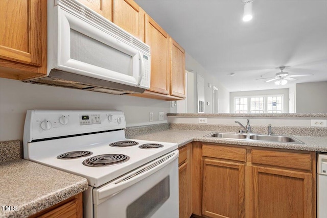 kitchen with sink, white appliances, and ceiling fan