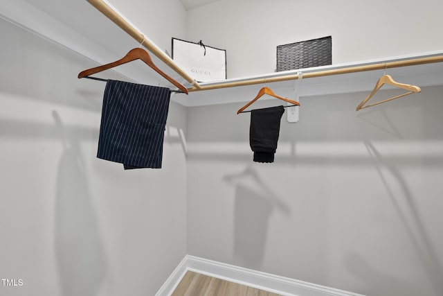 spacious closet featuring wood-type flooring