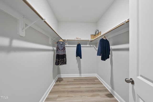 walk in closet with hardwood / wood-style floors