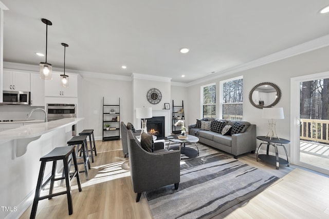 living room with crown molding and light hardwood / wood-style flooring