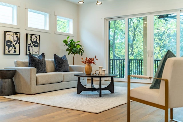 living room featuring a healthy amount of sunlight and light wood-type flooring