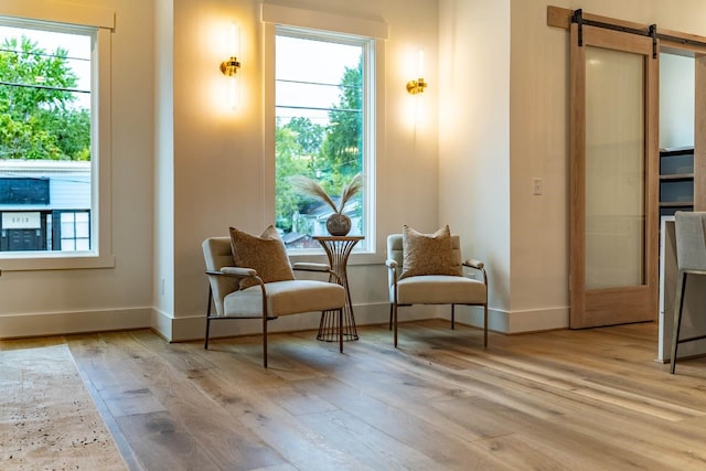 living area with light hardwood / wood-style floors and a barn door