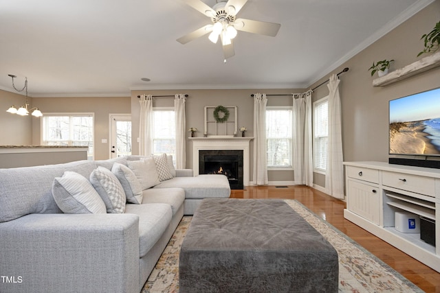 living room featuring light hardwood / wood-style floors, crown molding, and a healthy amount of sunlight