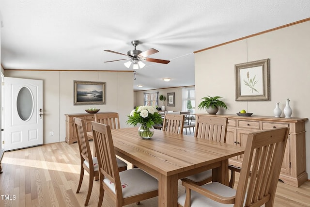 dining room featuring ceiling fan, light wood finished floors, and crown molding