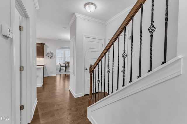 foyer featuring crown molding and dark hardwood / wood-style flooring