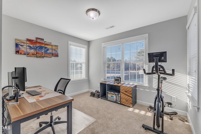 view of carpeted home office