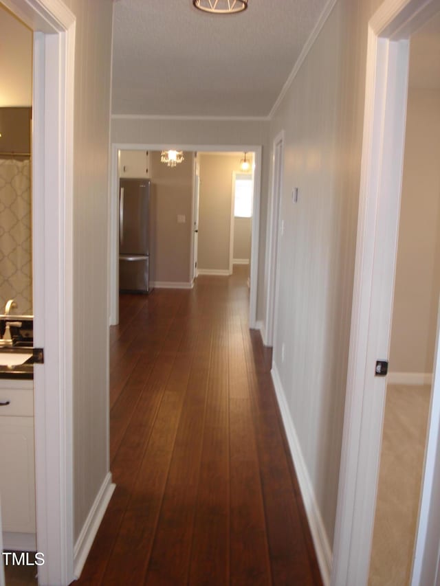 hallway with crown molding and dark hardwood / wood-style flooring