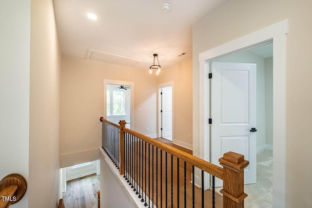 hallway with hardwood / wood-style floors