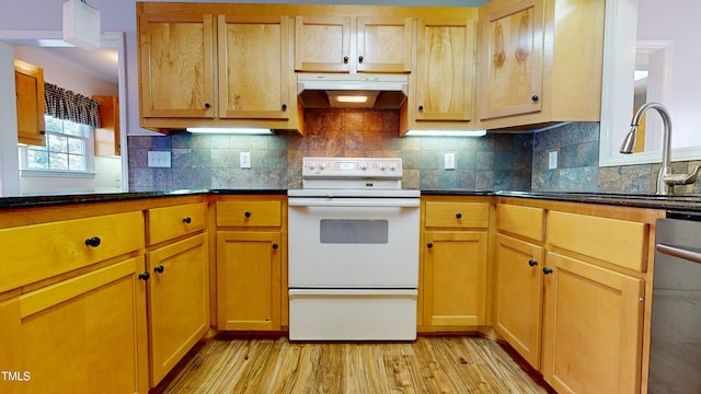 kitchen with dishwashing machine, sink, light hardwood / wood-style flooring, dark stone countertops, and white electric stove