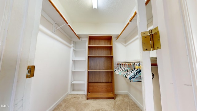 spacious closet with light carpet