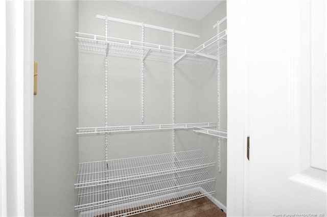 view of walk in closet