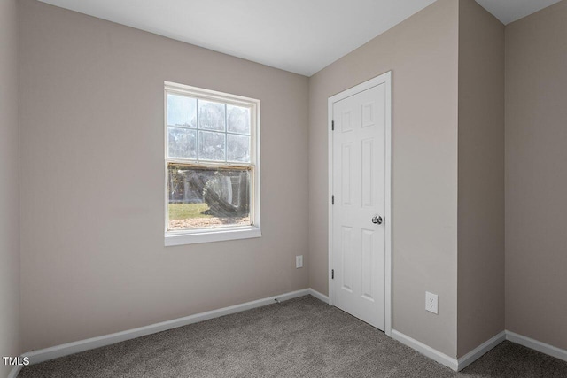 interior space featuring carpet floors