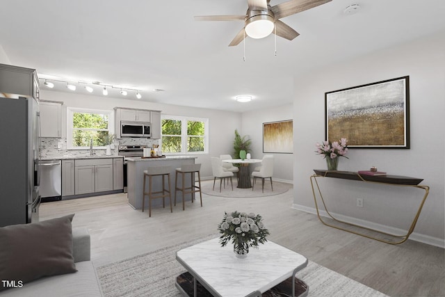 living room featuring sink and light hardwood / wood-style flooring