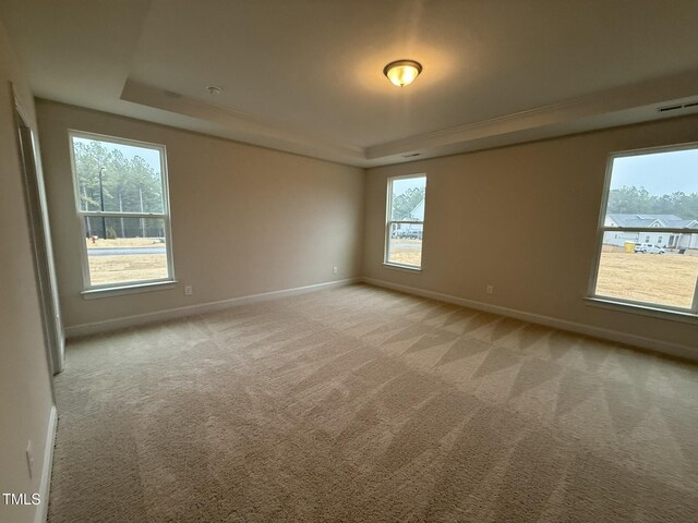 carpeted empty room featuring a tray ceiling