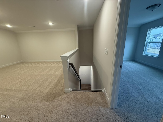 staircase with carpet flooring