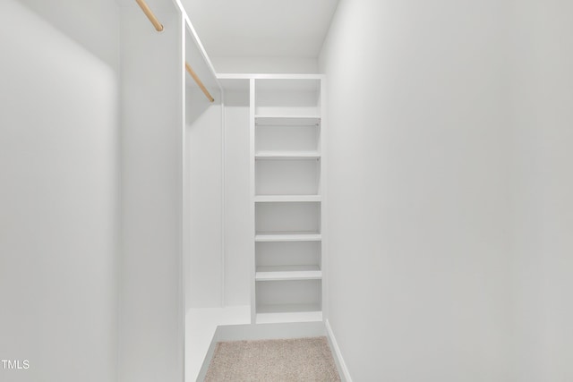 spacious closet with carpet