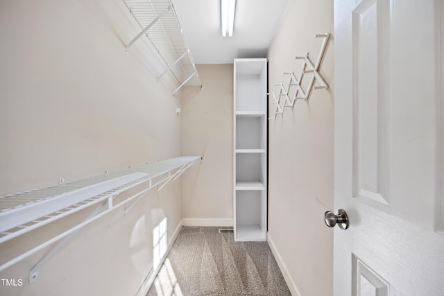 walk in closet featuring carpet floors