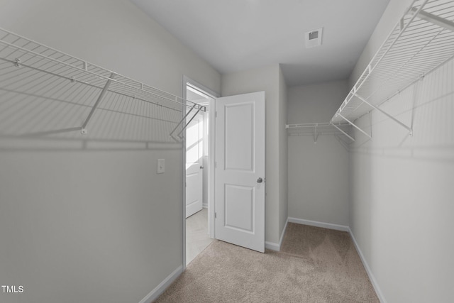 walk in closet featuring light colored carpet