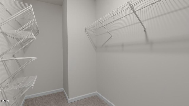 walk in closet with carpet floors