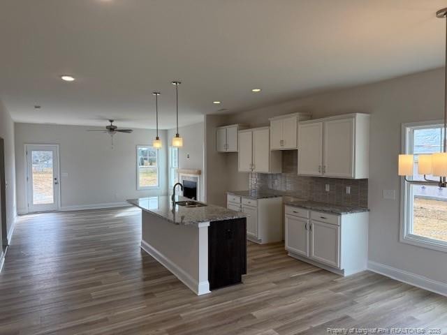 kitchen featuring plenty of natural light, tasteful backsplash, white cabinets, and wood finished floors