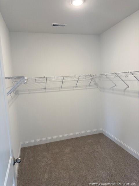 walk in closet featuring carpet floors and visible vents