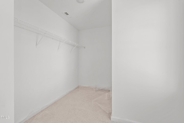 spacious closet with light colored carpet