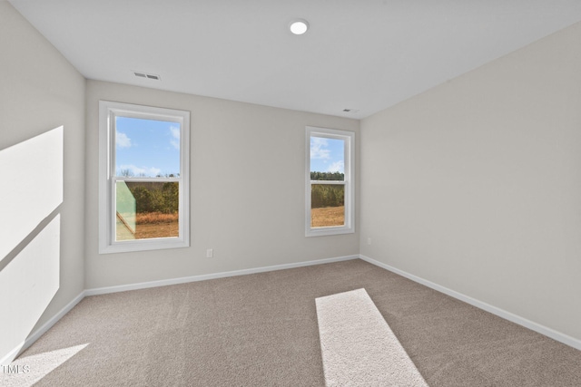 empty room featuring a healthy amount of sunlight and carpet flooring