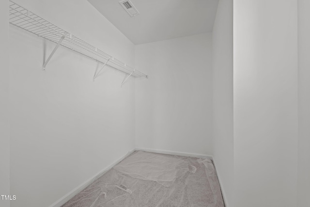 spacious closet featuring light colored carpet