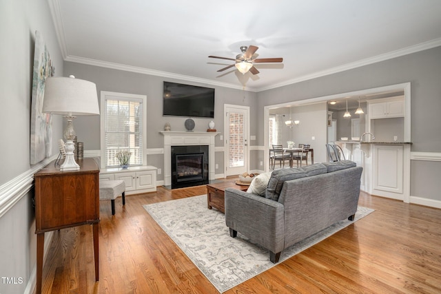 living room with ceiling fan with notable chandelier, light hardwood / wood-style flooring, and ornamental molding