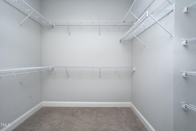 walk in closet featuring carpet flooring